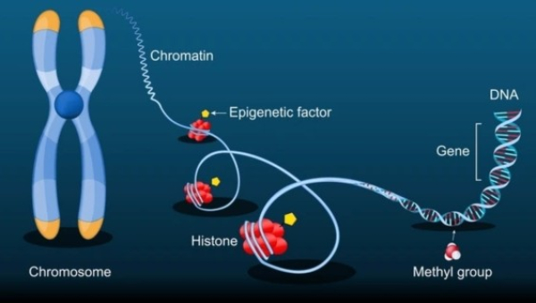 Image20260219-coding